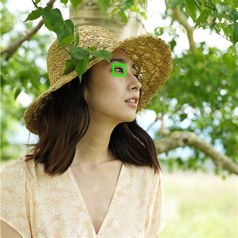 Sony Alpha 7IV Full-Frame Hybrid Camera (ILCE-7M4) | 33 MP Mirrorless