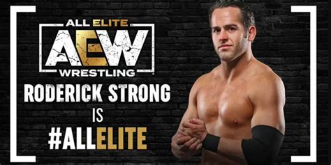 Image result for Roderick Strong Full Match