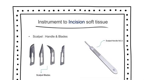 Image result for Surgical Instruments Tutorial