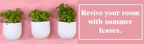 BLUME Bubble Small Wall Hanging Planters| Hanging Flower Pot | Hook ...