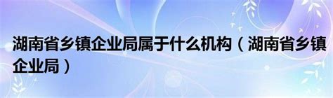 湖南省乡镇企业局属于什么机构（湖南省乡镇企业局）_拉美贸易经济网