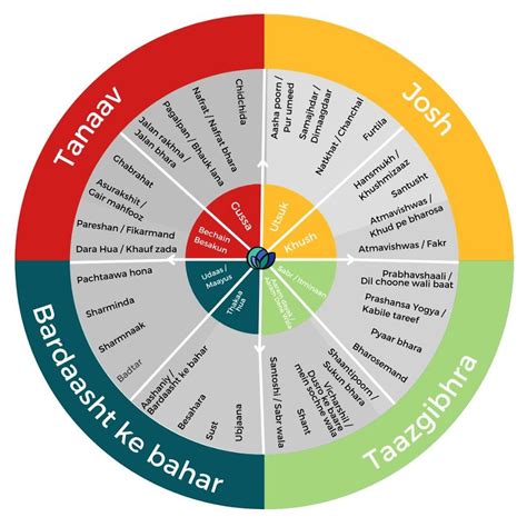 Emotion Wheels in Hindi Urdu: How to Cope with Stress in Language Learning