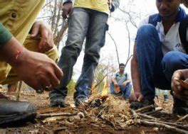 Corporate Adventure Team‑Building in Hyderabad | Outlife”