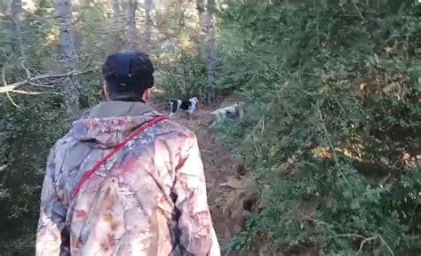 Prueba selectiva de la APC sobre Becada en la Guarguera – Asociacion ...