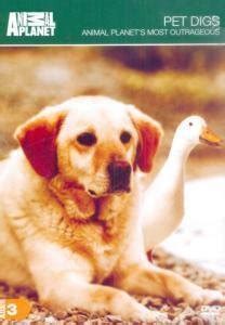 Pet Digs-Animal Planet's Most Outrageous: Amazon.in: Movies & TV Shows
