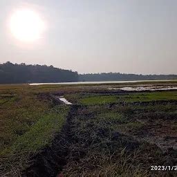 Best Top Rated Playground in Tavanur, Kerala, India | Yappe.in