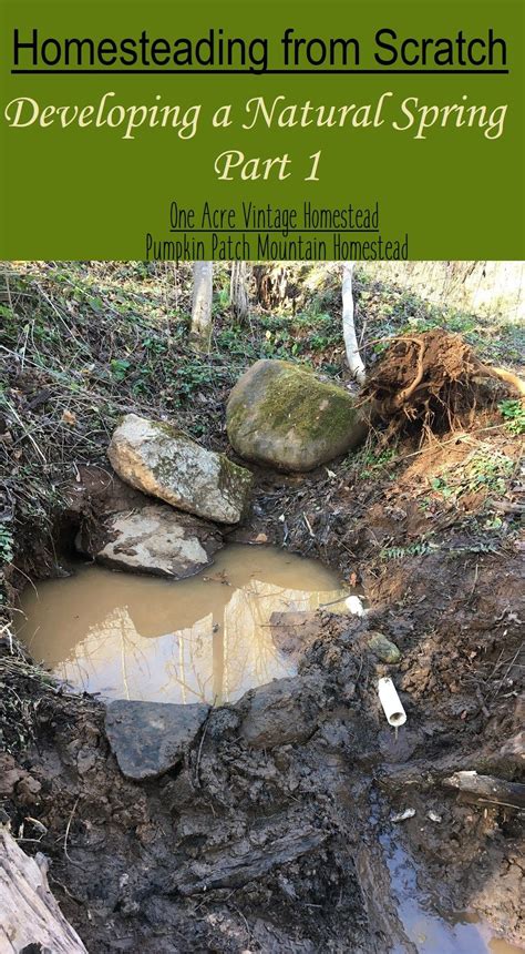 Image result for Tapping a Natural Spring