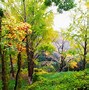 Image result for 花果山