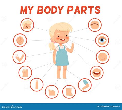 Girl Body Parts Cartoon Vector | CartoonDealer.com #25932477