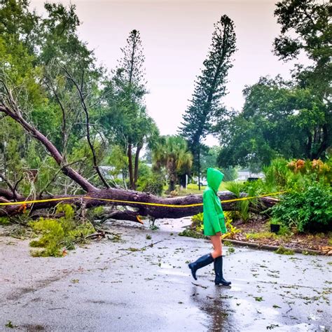 Disaster Assistance | Care for Business