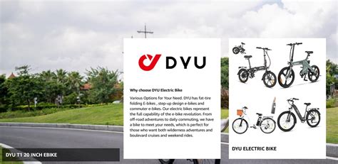 DYU T1 250W 36V 10Ah