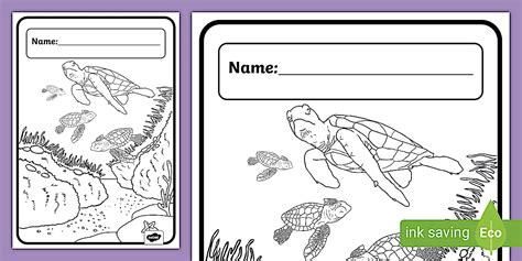 Turtle Colouring Book Cover | Twinkl | Book Covers | KS1