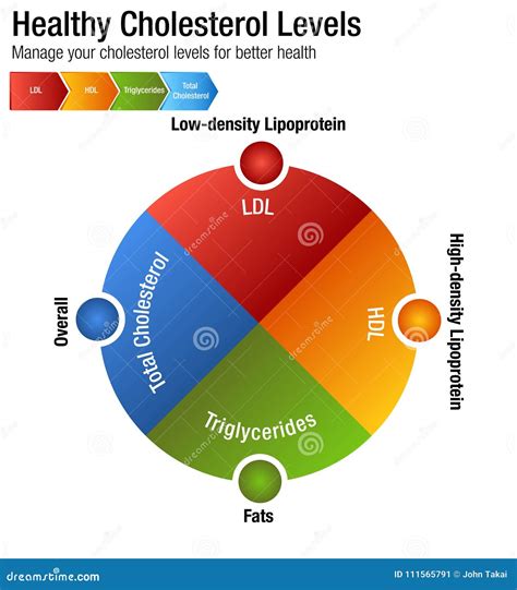 Hdl Triglyceride Ratio
