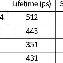 TCSPC Spectroscopy 的图像结果
