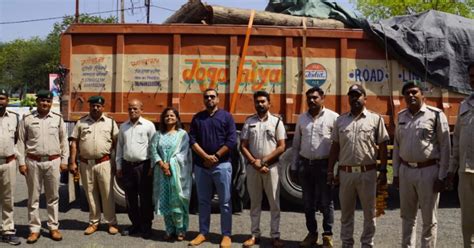 'पुष्पा' स्टाइल में 12 लाख की लकड़ी चुरा ले गए तस्कर, IFS Pooja Nagle ...