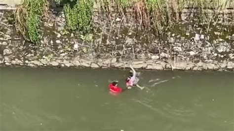 女童落水河中漂浮十几米，两小伙从数米高堤坝跳下救人_@所有人_澎湃新闻-The Paper