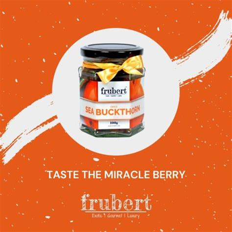 frubert Dried Sea Buckthorn,100gm ( Gluten Free, Vegan and No ...