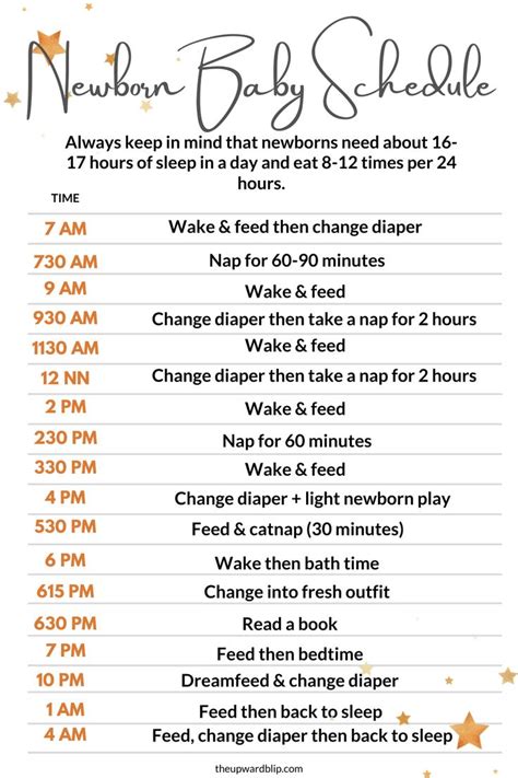 Creating a Sample Newborn Daily Schedule