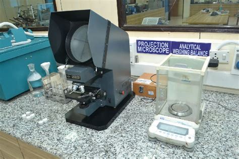 Mask Lab Testing 的图像结果