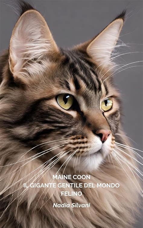 MAINE COON: IL GIGANTE GENTILE DEL MONDO FELINO (GATTI NEL MONDO ...