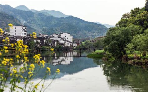 Image result for Informal Negative Sanctions