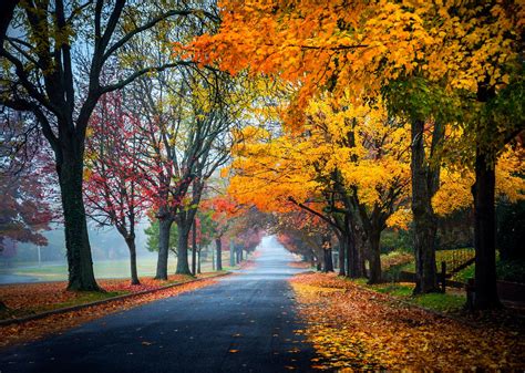 Image result for Autumn Homework EYFS