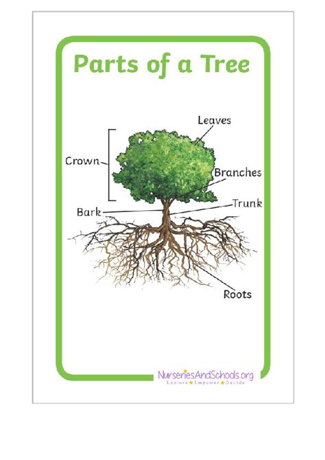 Image result for Tree Structure HTML/CSS