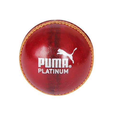 Buy Puma Platinum Cricket Ball Online-SCS Sports