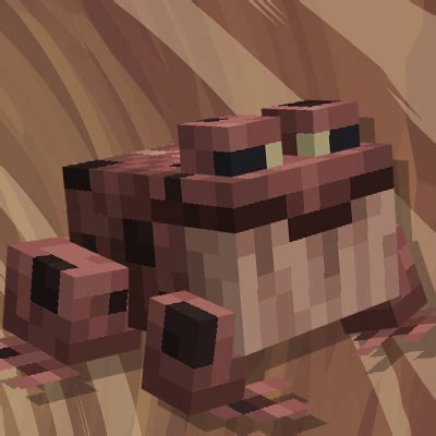 Image result for Minecraft Frogs Animation