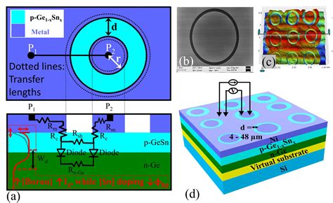 Prof. Satinder Kumar Sharma