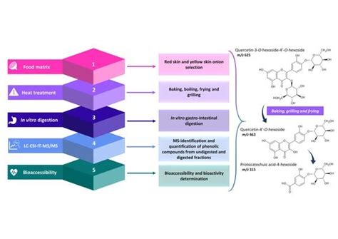 Influence of Cooking Methods on Onion Phenolic Compounds Bioaccessibility