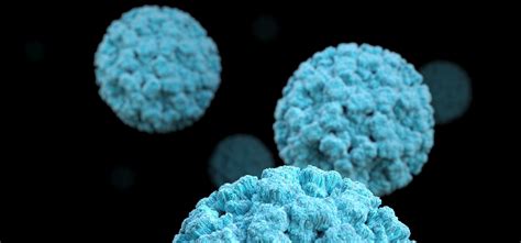 Explained: What Is Norovirus And How Dangerous Is It