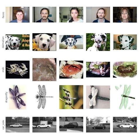 Image result for Visual Search Engine