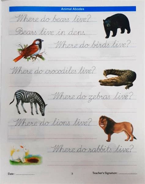 Cursive Writing Book-4 – Books and You