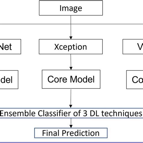 Image result for Body Exercise Solution Algorithm