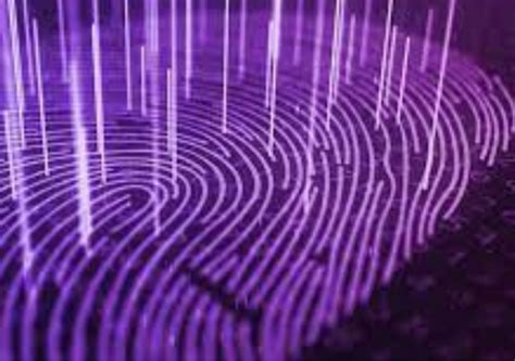 Do you know how big your footprint is? | News & Events | Francis Xavier ...