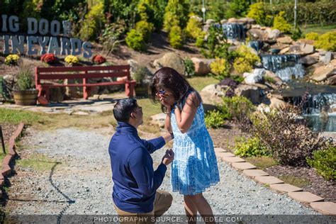 Romantic Big Door Vineyards Proposal Photos | Capturing Unforgettable ...