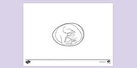 Chicken Costume Colouring Sheet | Colouring Sheets - Twinkl