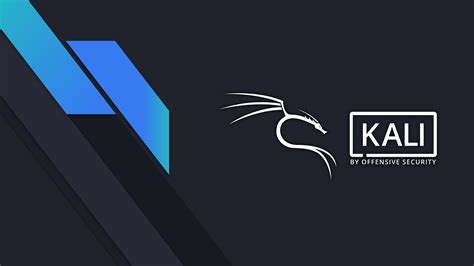 Image result for kali linux dark theme