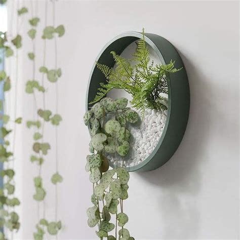 Iron wall hanging planters | Set of 4 – Gardengram