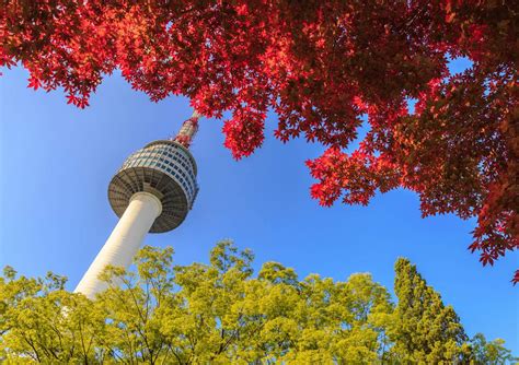 Korea Traditional Music Tour: Gugak Heritage Experience (Only Sat ...