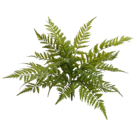 Artificial Ferns Michaels at Robert Keck blog