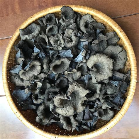 All About the Black Trumpet Mushroom - Minneopa Orchards