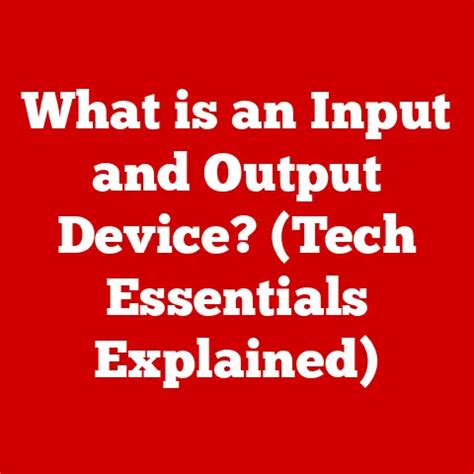 Image result for Input and Output Explained