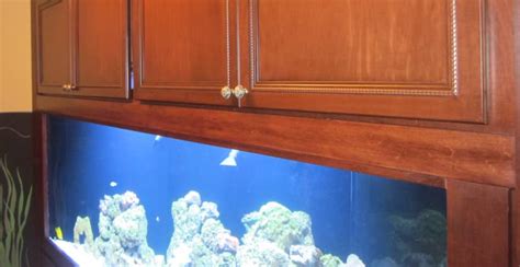 Image result for Basic Setup Fish Tank