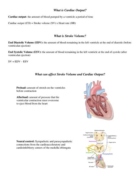 What is Cardiac Output - What is Cardiac Output? Cardiac output: the amount of blood pumped by a ...