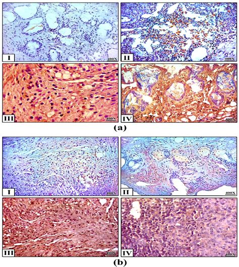 Correction: Abou-ElNaga et al. Novel Nano-Therapeutic Approach Actively ...