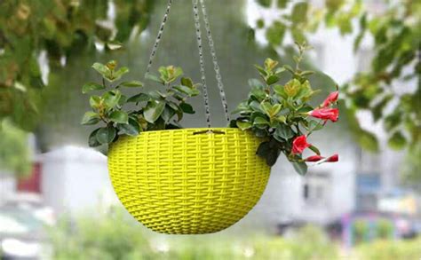 Go Hooked Plastic Hanging Pot, Yellow, 4.8 Inch, 5 Pieces : Amazon.in ...