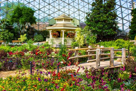 Image result for Spring Show