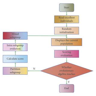 Image result for Process of Evolution Animation
